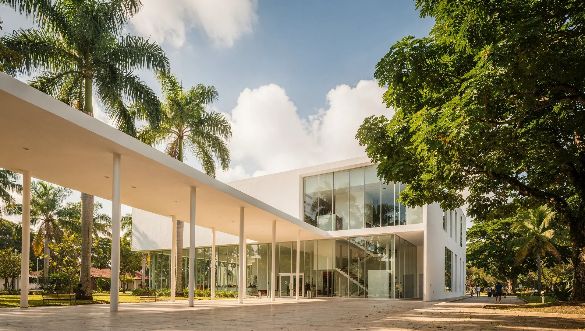 Edificio moderno de un campus universitario tropical, con pasillos cubiertos y palmeras